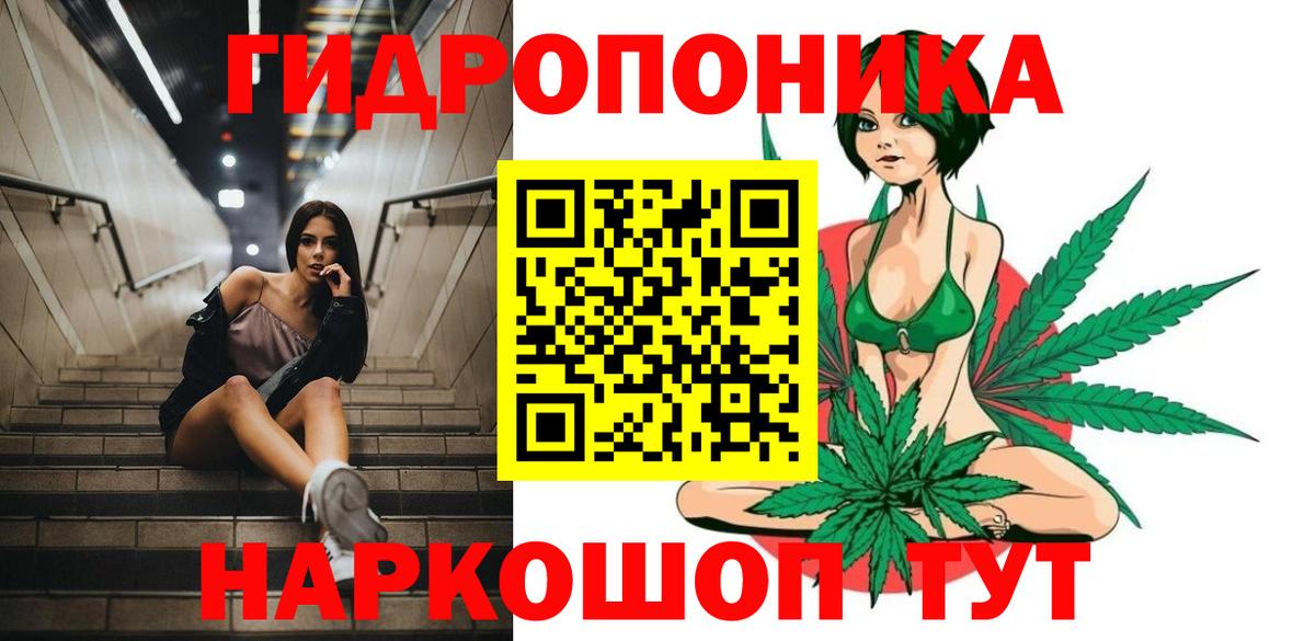 Канабис семена  Вход с VPN  Алушта  Шишки марихуана OG Kush  Каннабис семена  Каннабис VHQ 